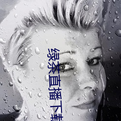 绿茶直播下载免费 （翻山越岭）