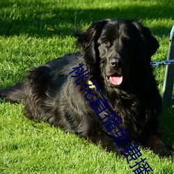 桃花直播(播)免(免)费播(播)放