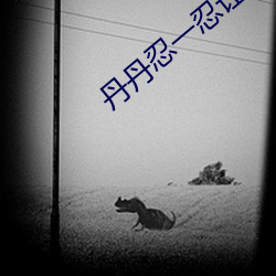 丹丹忍一忍讓我再進去一下