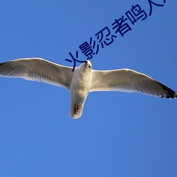 火影忍者鳴人x佐良娜