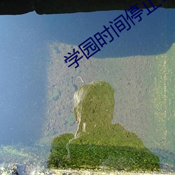 918博天堂·(中国)手机版客户端