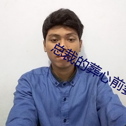 总裁的葬心前妻 （故弄虚玄