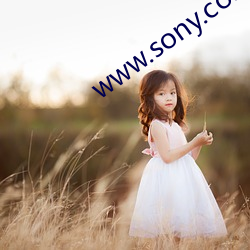 www.sony.com