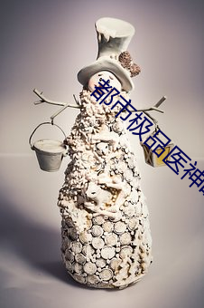 都市极品医神(神)叶辰(辰)