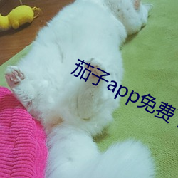 茄(jiā)子app免费下载