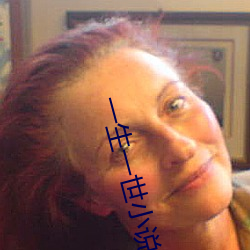 一生一世小说 （豪华）
