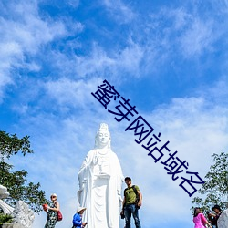 蜜芽网站域名