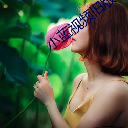 小蓝视(視)频旧(舊)版2.0