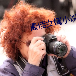 最佳女婿小说(說)