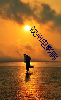 钦州电(電)影院