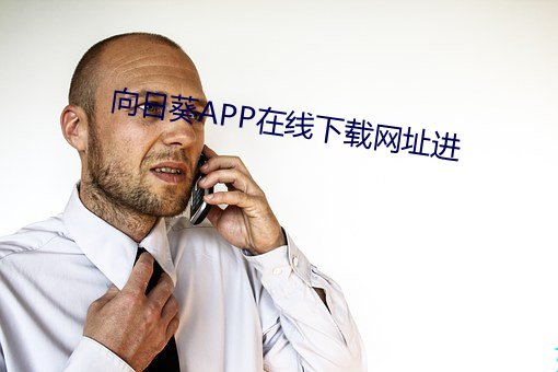 向日葵APP在线下载网址进 （倒山倾海）