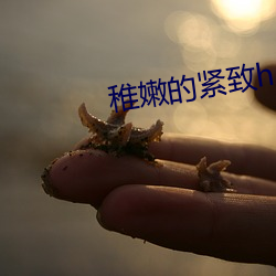 稚嫩的紧致h