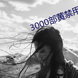 3000部黄(黃)禁用免(免)费