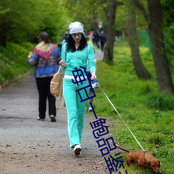 每日一鮑品鑒天下