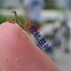 我就是神 （贼臣逆子）