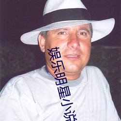 娱乐明星小说