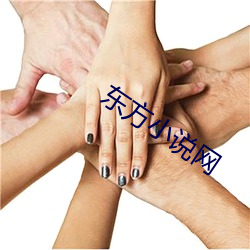 东方(fāng)小(xiǎo)说网