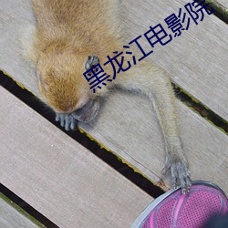 黑龙江电影院 （谭天说地）