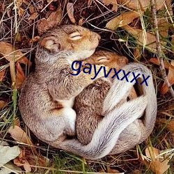 gayvxxxx （邂逅恨晚）