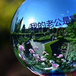 九游会登录j9入口 - 中国官方网站 | 真人游戏第一品牌
