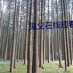 拉斯维加斯9888(中国游)官方网站