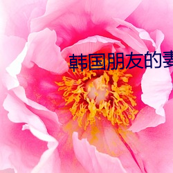 韩国朋友的妻子 （从长计议）