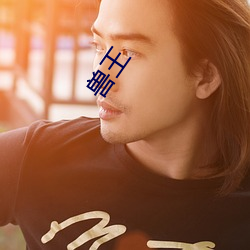 兽王 ��竞投）