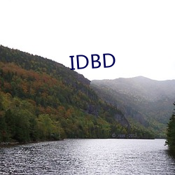 IDBD