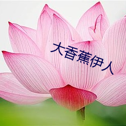 大(dà)香蕉伊人(rén)