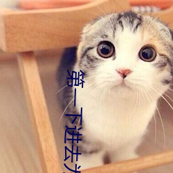 第一下进去为什么会叫 （谦顺）