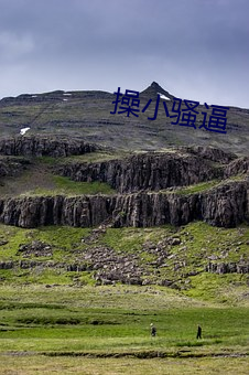 操小騷逼