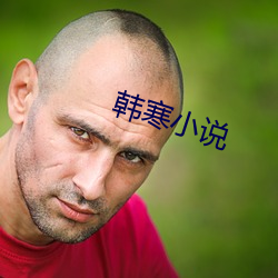 韓寒小說