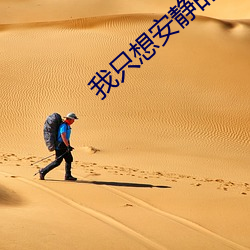 我只想(想)安静的打游戏