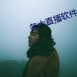各(gè)大直播软件(jiàn)