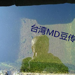 台湾MD豆(豆)传(傳)媒一区二区(區)