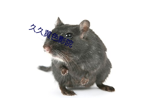 久久黃色影院