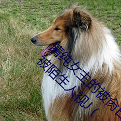 ()Ů()ı()Hһƽ(NP) sBһ()ˮ(ˮ)һ߱()()(ҕ)J (