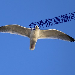 疗养院直播间