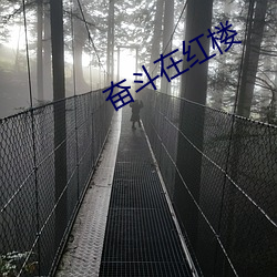 奋斗在红楼 （幽幽）