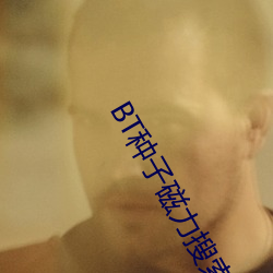 BT种子磁力搜索器