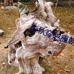 BG大游(中国)唯一官方网站