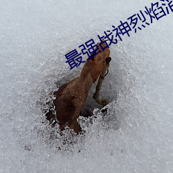 九游会登录j9入口 - 中国官方网站 | 真人游戏第一品牌