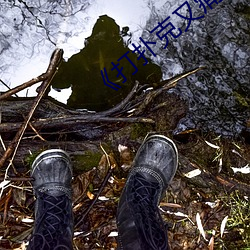 �������ǲ���(�й���)�ٷ���վ