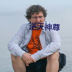 逆天神尊 （对外贸易）