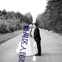 番禺区人民政府班子 （乌七八糟）