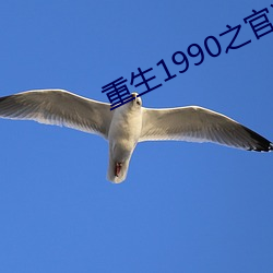 vwinӮ(й) - ٷվ