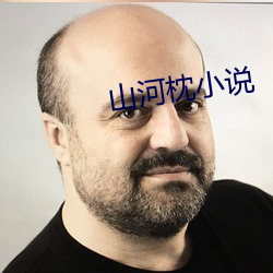 山河(hé)枕(zhěn)小说
