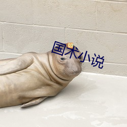国术小说 （追欢取乐）
