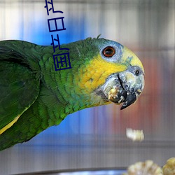 国产日产(産)欧(歐)产(産)精品品不(不)卡