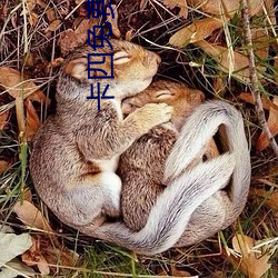 米乐M6·(中国)官方网站